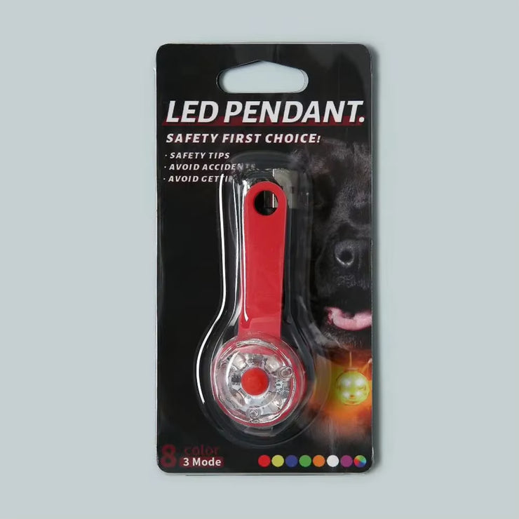 Illuminate Your Dog&