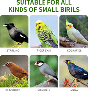 Pet Bird Automatic Water Dispenser,Bird Cage Hanging Drinking Device,Automatic Parrot Water Feeder,Budgies, Birds, Love Birds, Canary Drinking Fountains. (White, 1 PCS)