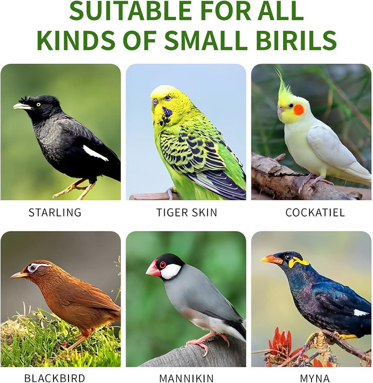 Pet Bird Automatic Water Dispenser,Bird Cage Hanging Drinking Device,Automatic Parrot Water Feeder,Budgies, Birds, Love Birds, Canary Drinking Fountains. (White, 1 PCS)