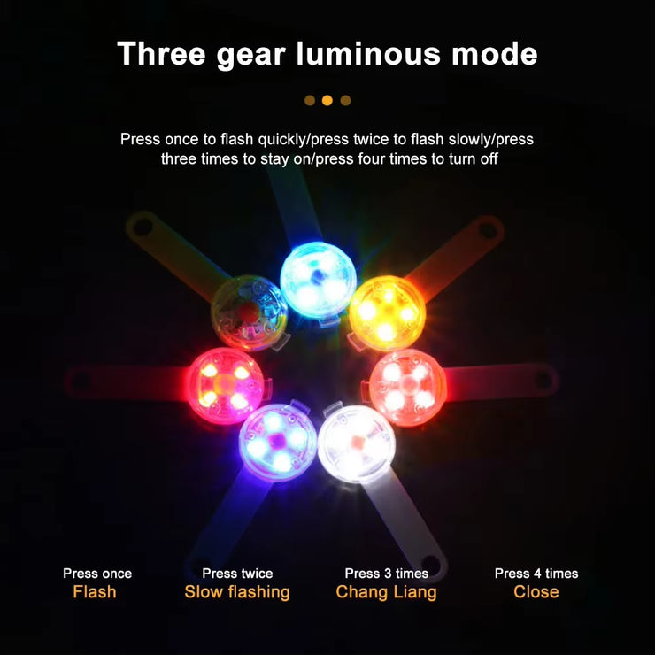 Illuminate Your Dog&