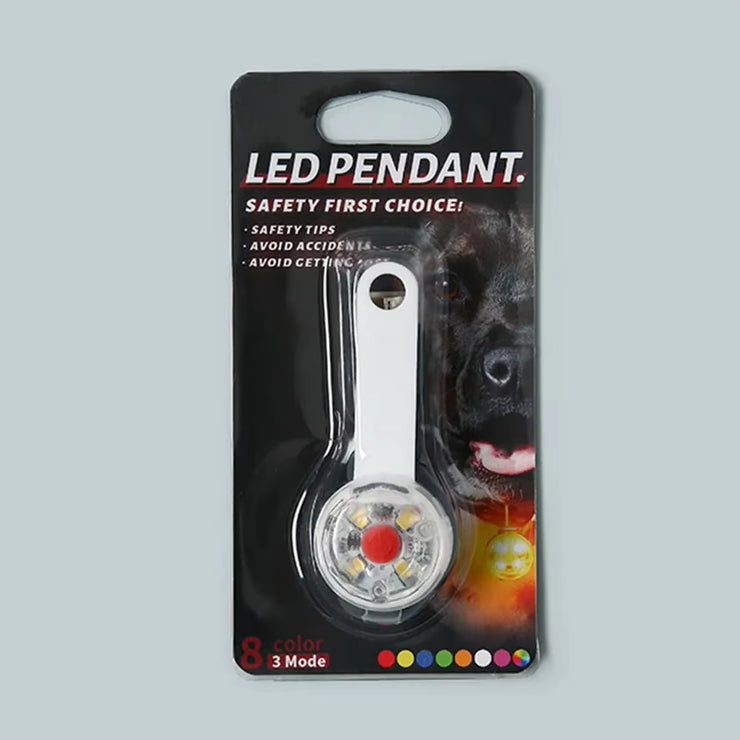 Illuminate Your Dog&