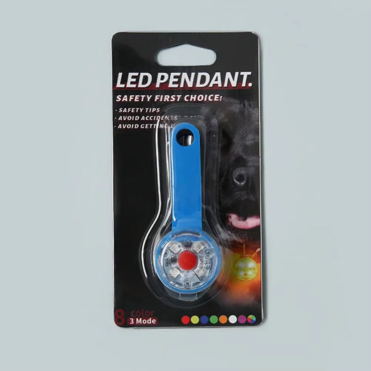 Illuminate Your Dog&